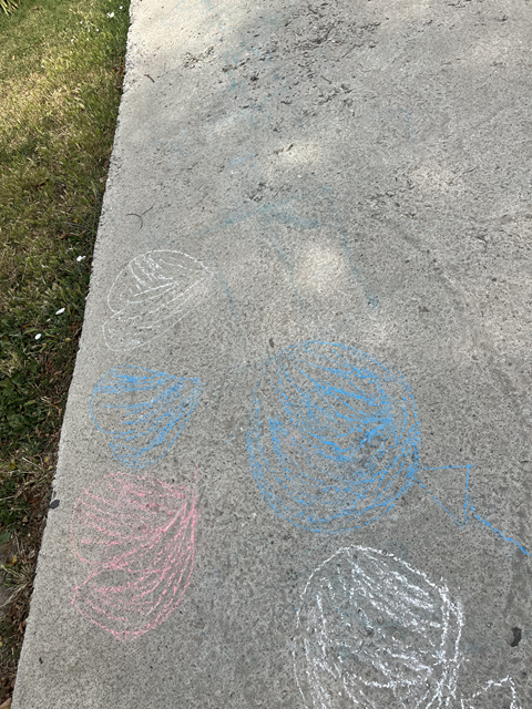 IMG 1356